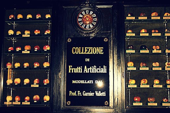 museo-della-frutta